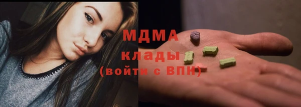 гашик Тайга