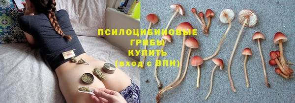 молекула духа Сясьстрой