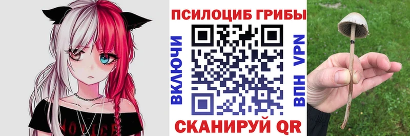 Галлюциногенные грибы прущие грибы  Иланский 